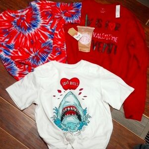 3 medium holiday tees (new)